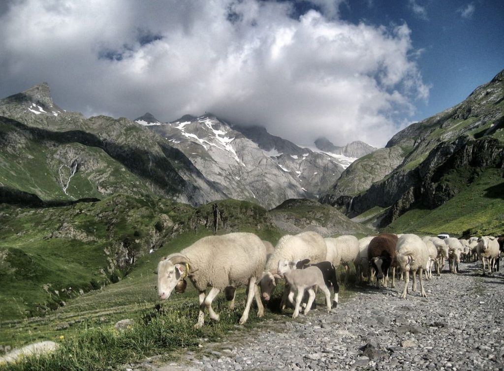 Pyrénées GR10 Petit Vignemale