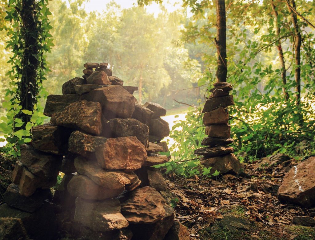 Fôret de Brocéliande