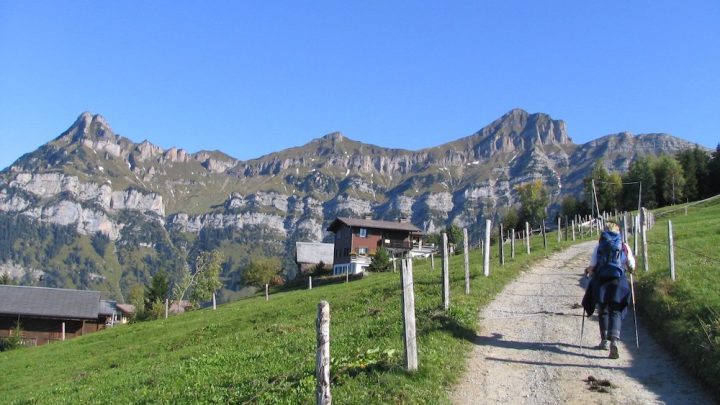 Le top 10 des bienfaits de la randonnée