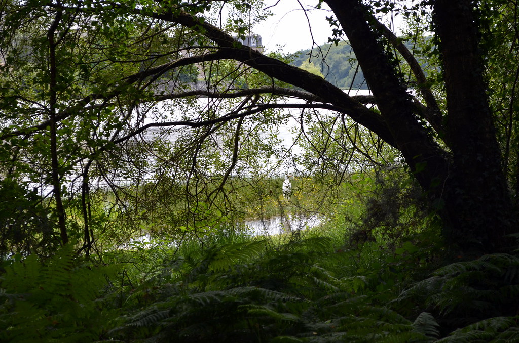 Foret De Broceliande Val Sans Retour Rue Neuve Trehorenteuc
