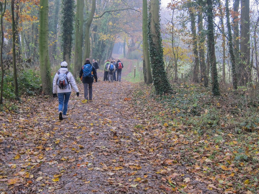 GR65 Sur le chemin de Saint Jacques de Compostelle entre Lectoure et Aire-sur-l’Ardour