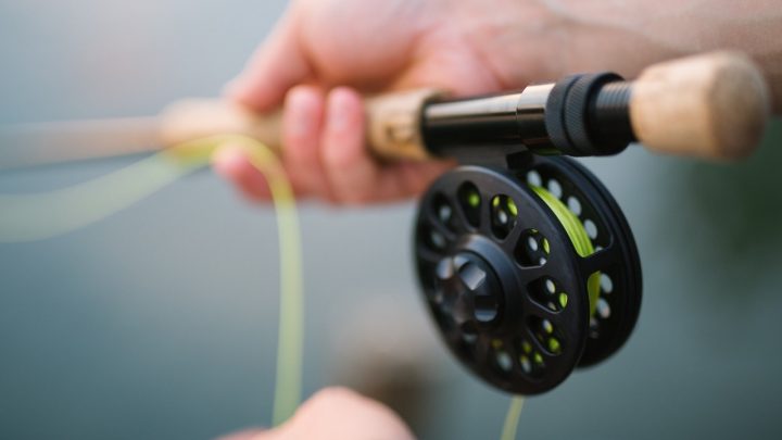 La pêche à la carpe, les bases essentielles pour réussir