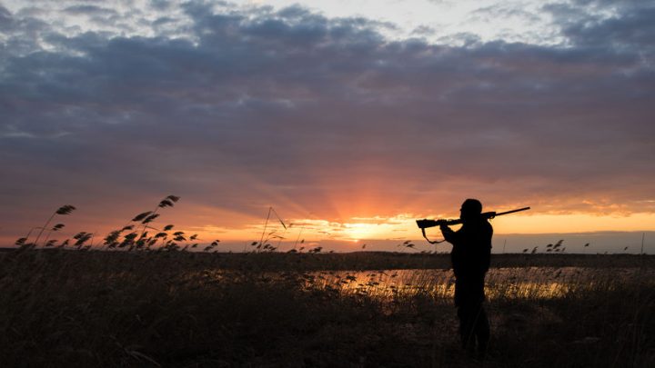La chasse : les 3 conseils pour r&eacute;ussir cette activit&eacute;&thinsp;?