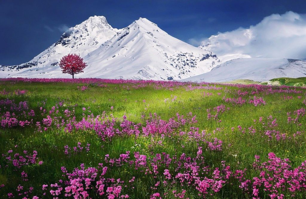 gr5 des alpes