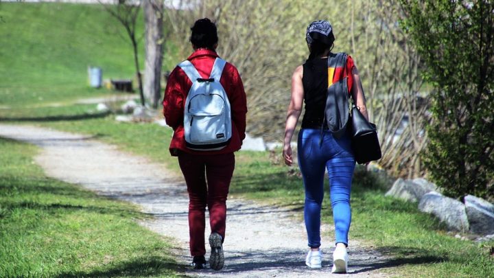 Top 5 des plus belles randonnées en Vendée