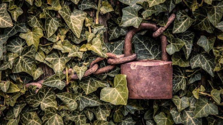 Vol et intrusion : protéger son camping car et son fourgon aménagé